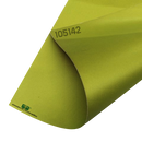 CARTULINA LUSTRE PARROT GREEN LIGERO SATIN ECG 50X70 250 GR