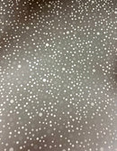 CARTULINA BOUTIQUE PLATA PUNTOS ECG 44X61 220 GRS