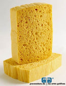 ESPONJA COMPRIMIDA No. 6