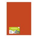 PASTA O CUBIERTA PARA ENGARGOLAR, ENCUADERNAR, EMPASTAR	ENCOPASTAS	COLOR 	NARANJA FLUORESCENTE TRANSPARENTE LISO	TAMAÑO	CARTA	CON 50 PIEZAS