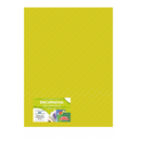 PASTA O CUBIERTA PARA ENGARGOLAR, ENCUADERNAR, EMPASTAR	ENCOPASTAS	COLOR 	AMARILLO FLUORESCENTE TRANSPARENTE RAYADO	TAMAÑO	CARTA	CON 50 PIEZAS